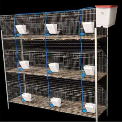 新型自动清粪养殖笼特大号兔笼超大新式养殖场专用大型子母兔子笼