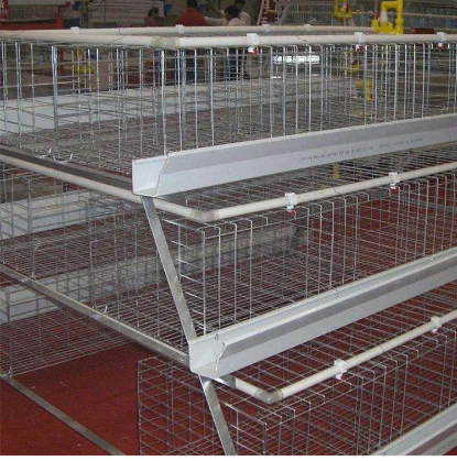 阶梯式蛋鸡笼冷热镀锌四层五窝 提高蛋产量 减少破损量 支持定制