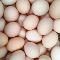 顺丰富硒鸡蛋 代发30枚礼盒装新鲜营养草鸡蛋