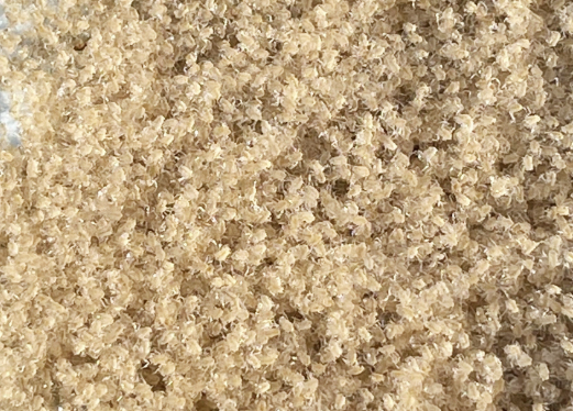 泥鳅鱼大鱼台泥鳅养殖泥鳅1斤