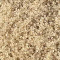 泥鳅鱼大鱼台泥鳅养殖泥鳅1斤